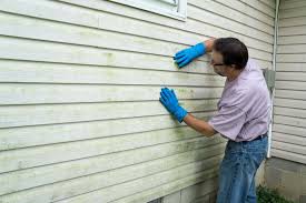 Best Siding Painting and Refinishing  in Abita Springs, LA